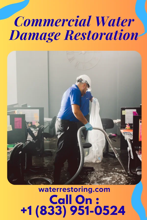 Commercial Water Damage Restoration in Ozawkie, KS