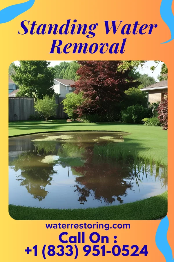 Standing Water Removal in Ozawkie, KS